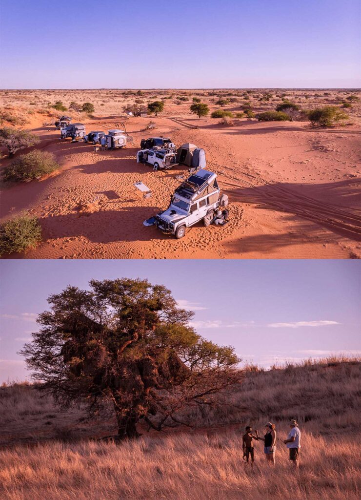 Endless Africa_KalahariSafari